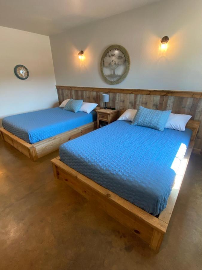 The Woods Lodging Kingston Chambre photo